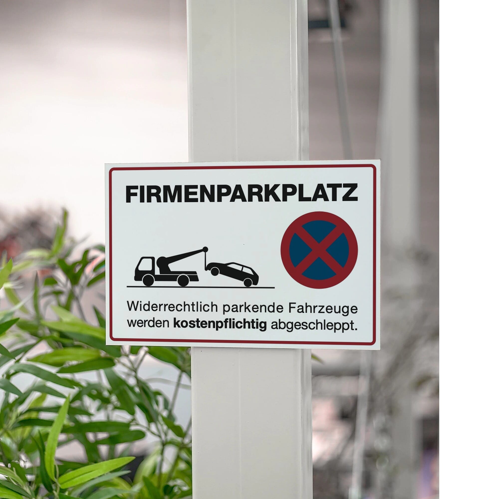 Weiße Alu-Verbundtafel mit Aufschrift Privatparkplatz für Firmen, 200x300x4 mm, als Parkplatzschild.