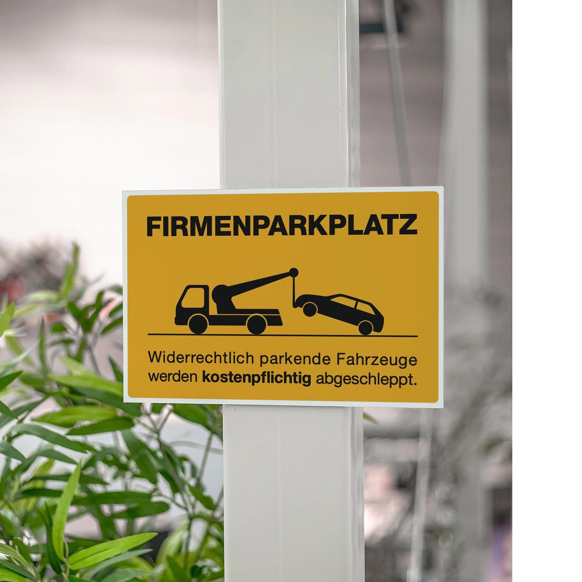 Schild Alu-Verbund Firmenparkplatz (signalgelb, 200x300x4 mm)