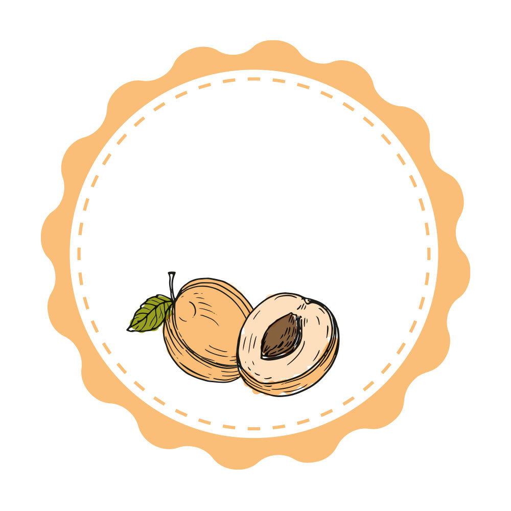 Marmeladenetiketten Set mit verschiedenen Motiven, inklusive handgezeichneter Aprikose, auf kreative 3 Bögen für DIY-Labels.