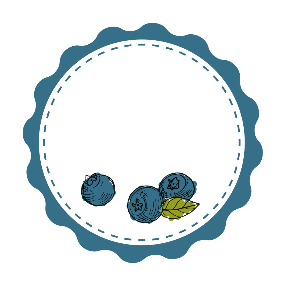 Marmeladenetiketten Set mit Blaubeere-Motiv, kreative Gestaltung, 3 Bögen, 200x300 mm, für selbstgemachte Marmeladengläser