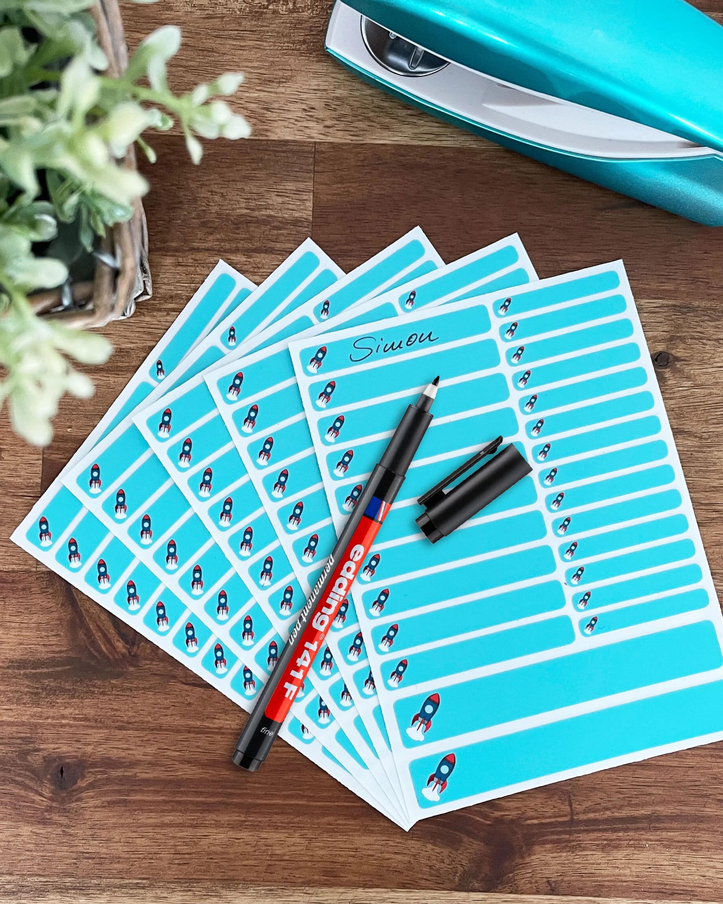 edding 141 F Permanenter Folienschreiber - zur Beschriftung von Namensaufklebern (Schwarz)